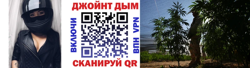 Каннабис семена Гаврилов-Ям